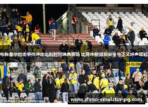 布鲁塞尔枪击事件冲击比利时对瑞典赛场 比赛中断背后安全与正义呼声骤起