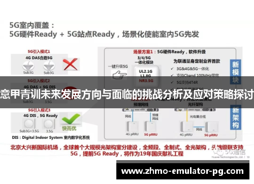 意甲青训未来发展方向与面临的挑战分析及应对策略探讨
