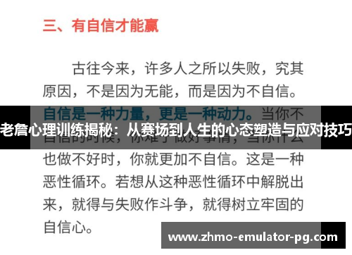 老詹心理训练揭秘：从赛场到人生的心态塑造与应对技巧