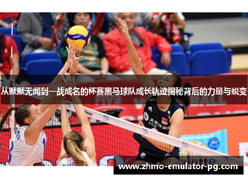 从默默无闻到一战成名的杯赛黑马球队成长轨迹揭秘背后的力量与蜕变